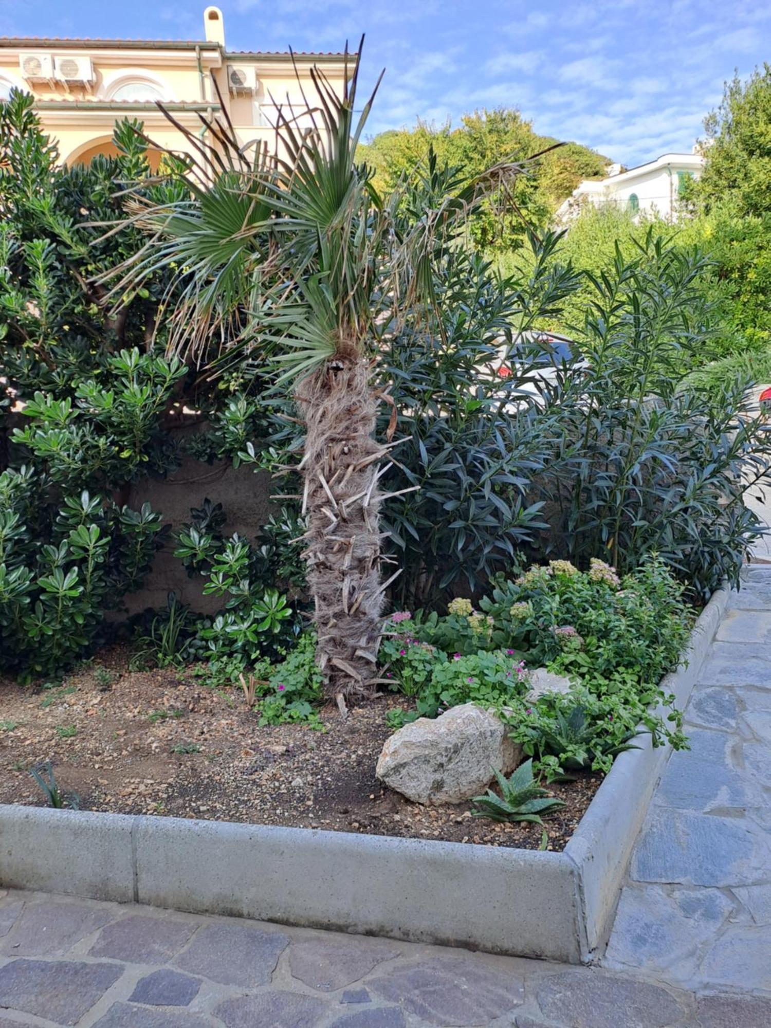 Apartment Kricin Baška Δωμάτιο φωτογραφία